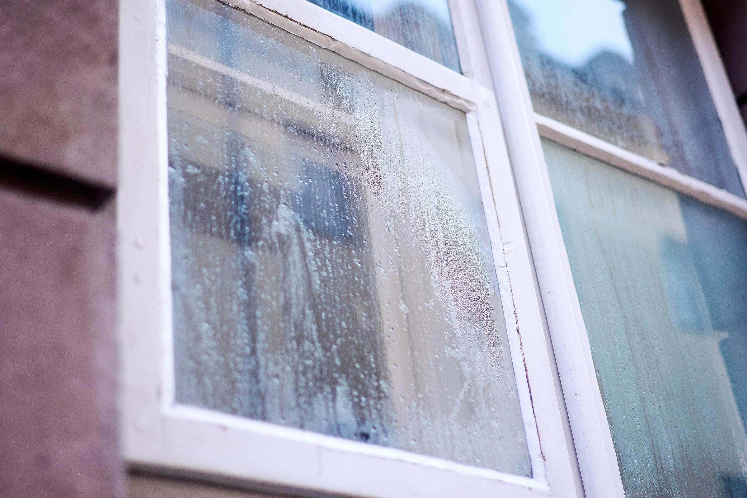 Cleaning Windows That Have Never Been Cleaned