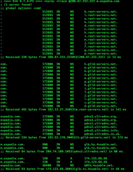 DNS DIG Output