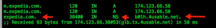 DNS CACHE - LAST RESPONSE