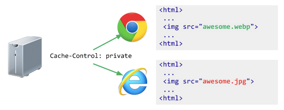 xwebp-serverside_png_pagespeed_ic_VQU81Ru9Pk