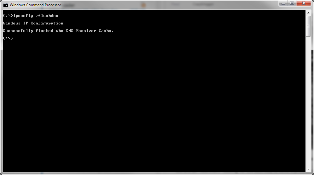 DNS cache flush