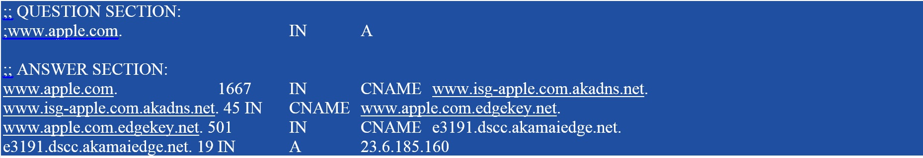 DIG apple.com