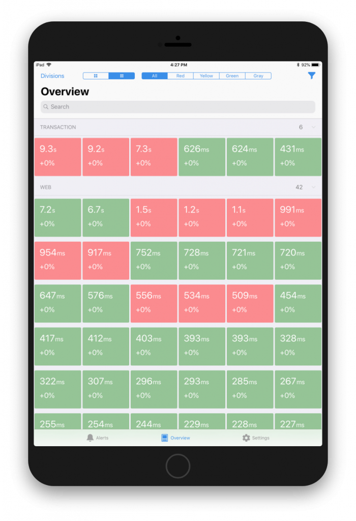 synthetic overview displayed on iPad