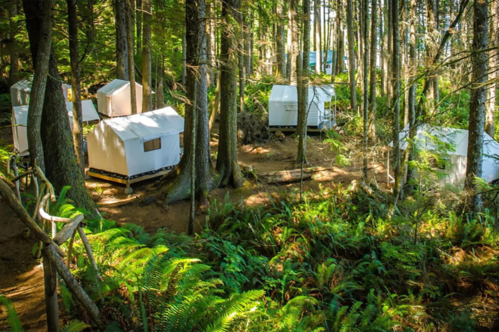 Orca Camp Kayaking Trip 4 Days Canada Flashpackerconnect Adventure Travel