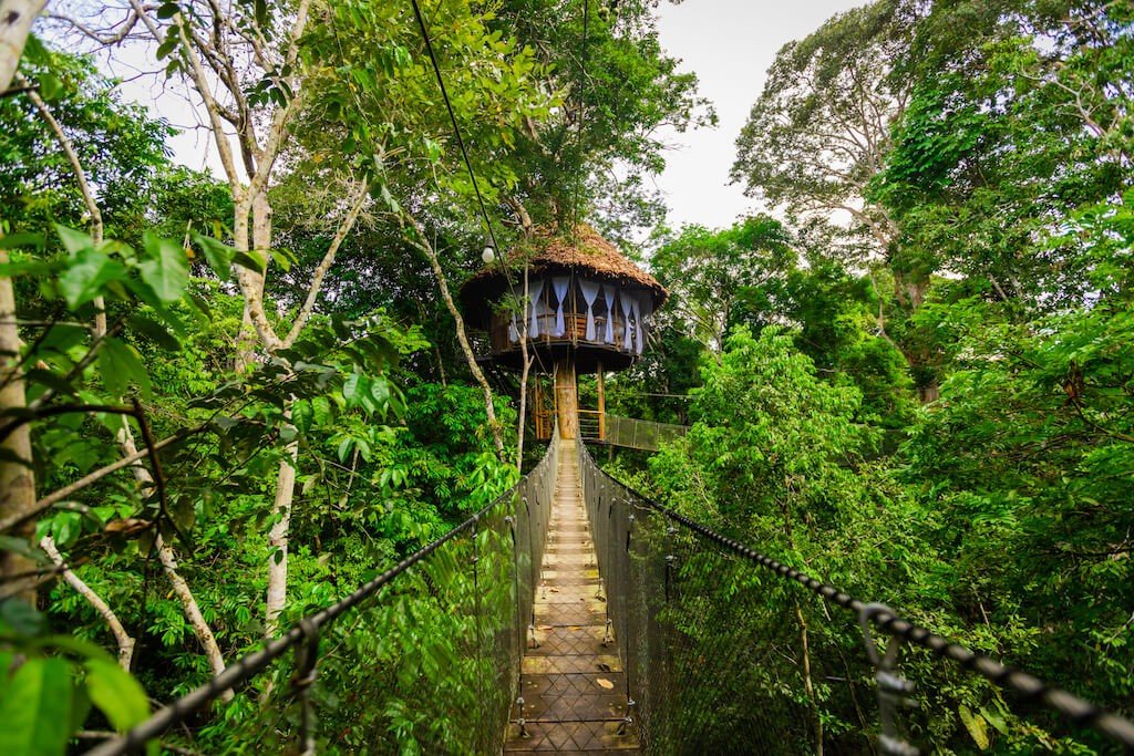 Treehouse Lodge Peru Why this is likely the best jungle Lodge in the