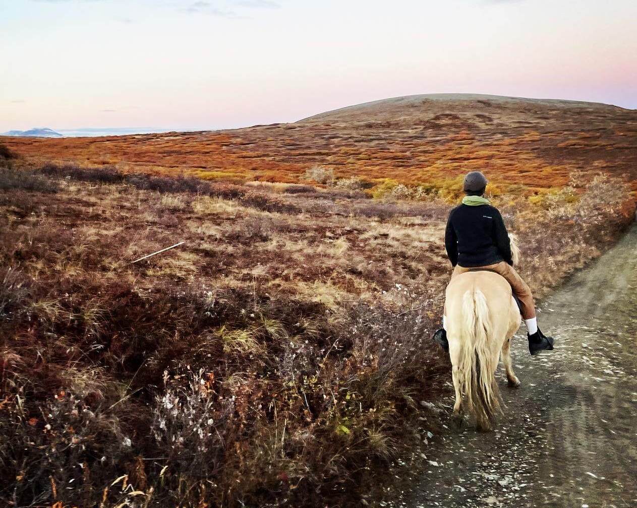 Golden Sands Stables & Lodging, LLC (Visit Nome Alaska)