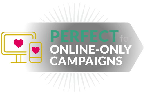 ideas for online fundraising campaign