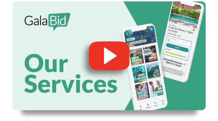 services for fundraisers