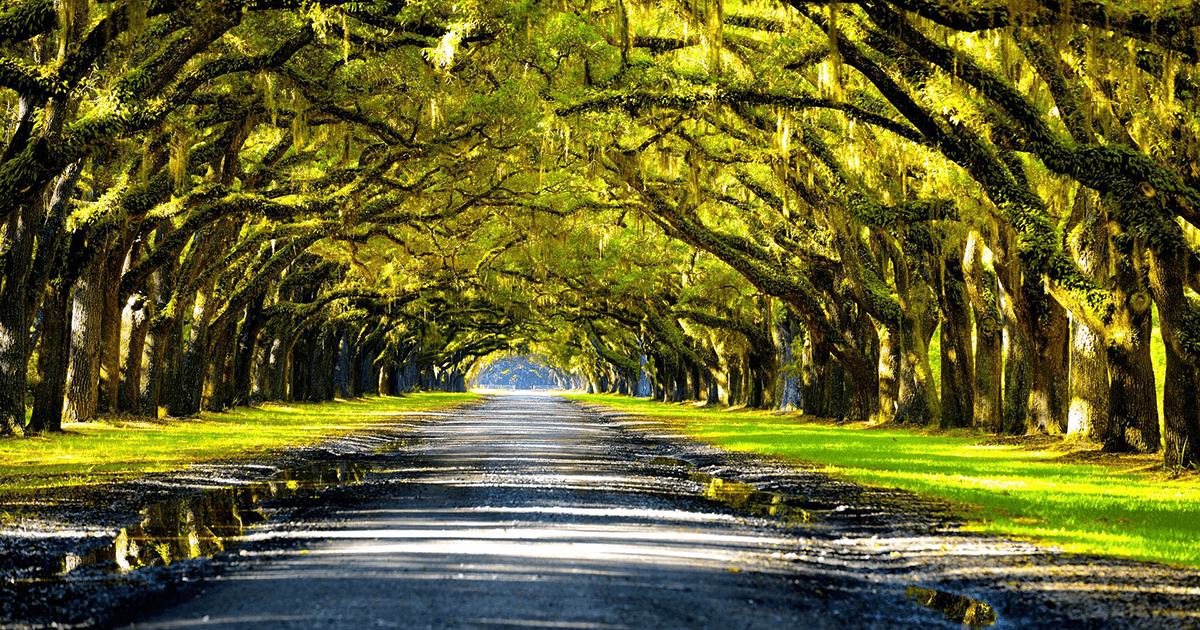 Capstone Insurance Independent Insurance Agency