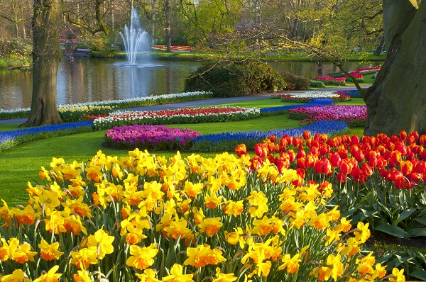 Keukenhof Gardens