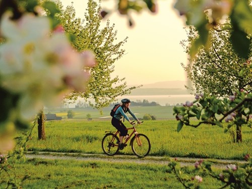 Biking Bodensee
