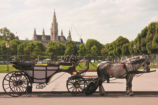 Rathaus Vienna