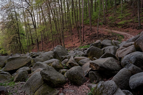 Felsenmeer Odenwald Forest