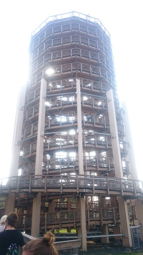 Panarbora Viewing Platform