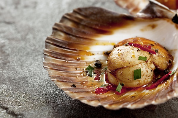Scallop In Shell
