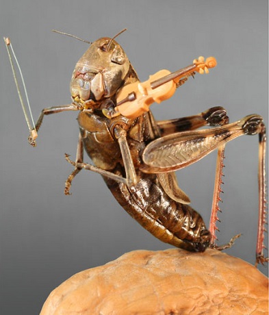 Grasshoper Miniature