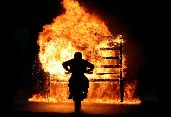 Stunt Show