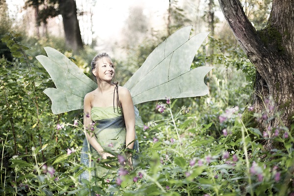 Fairy In Forest