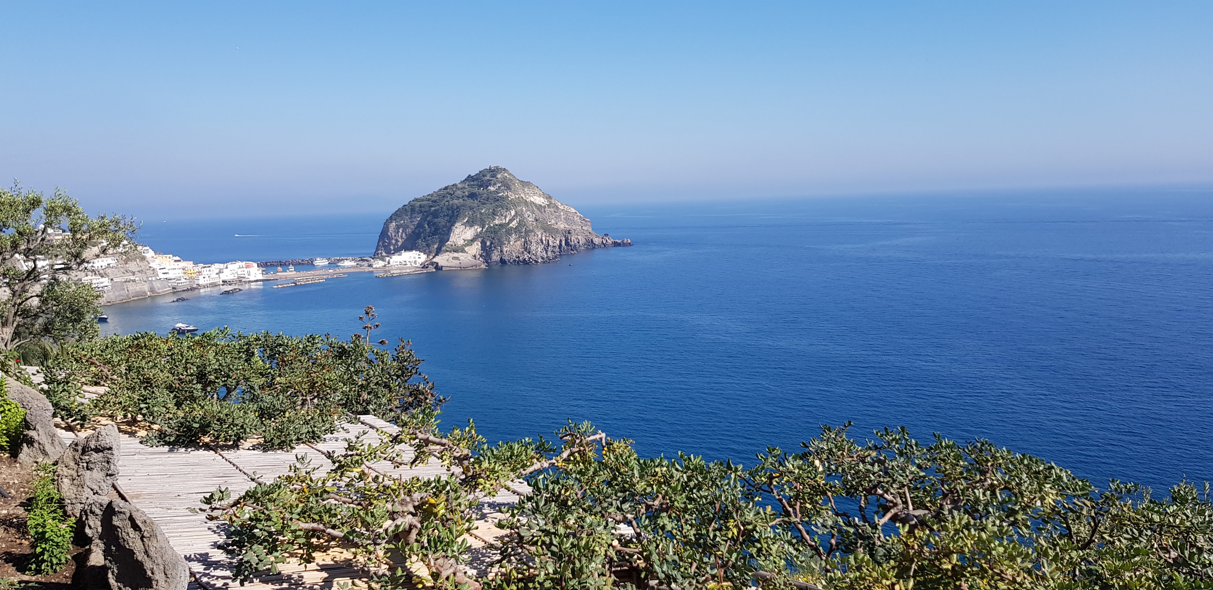 Ischia Panorama