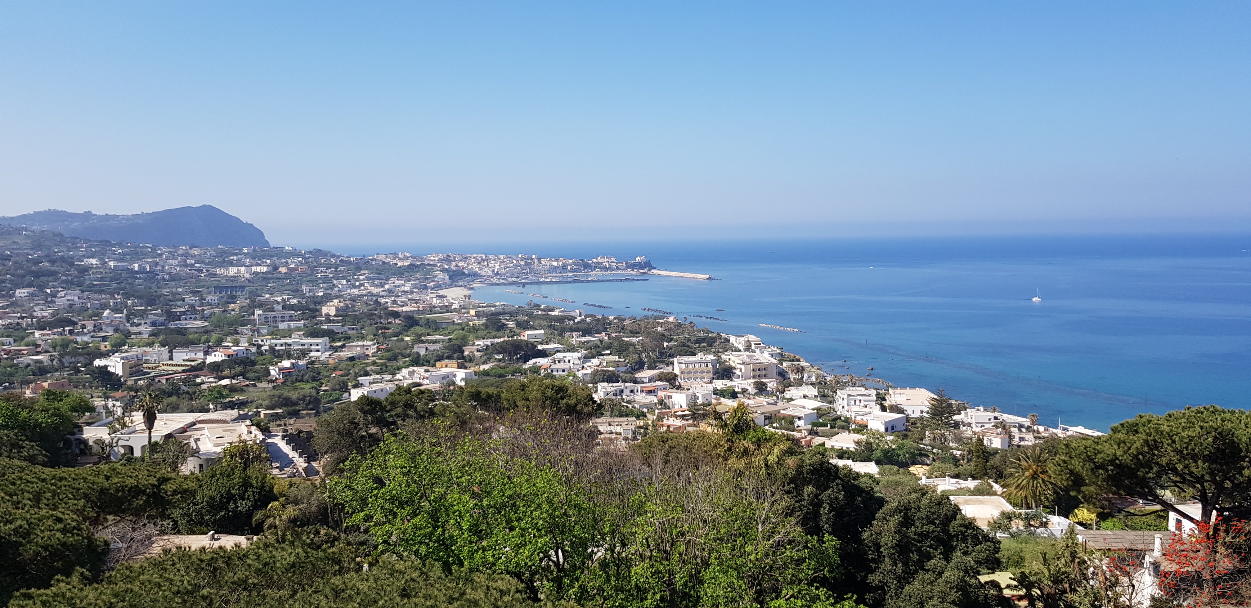 Ischia Panorama