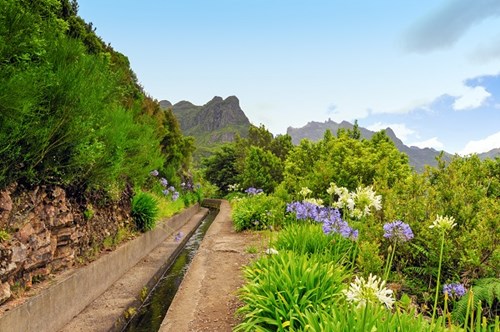 Levada Madeira
