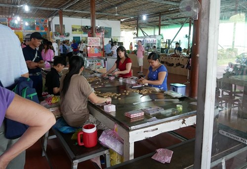 Coconut and Candy Factory