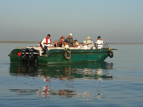 Boat Safari