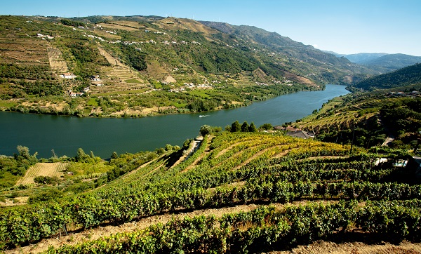 Douro Valley