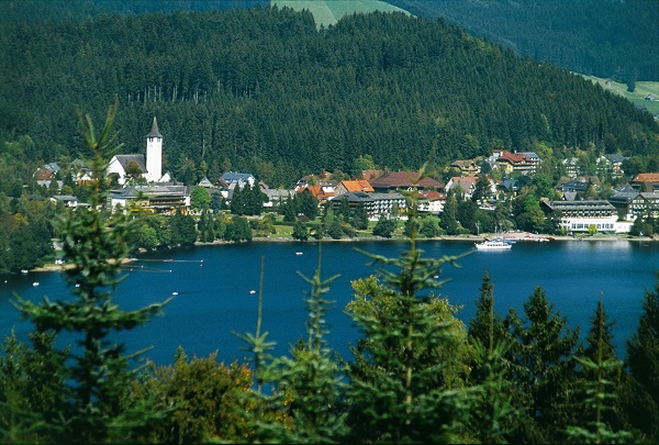 Black Forest Danube