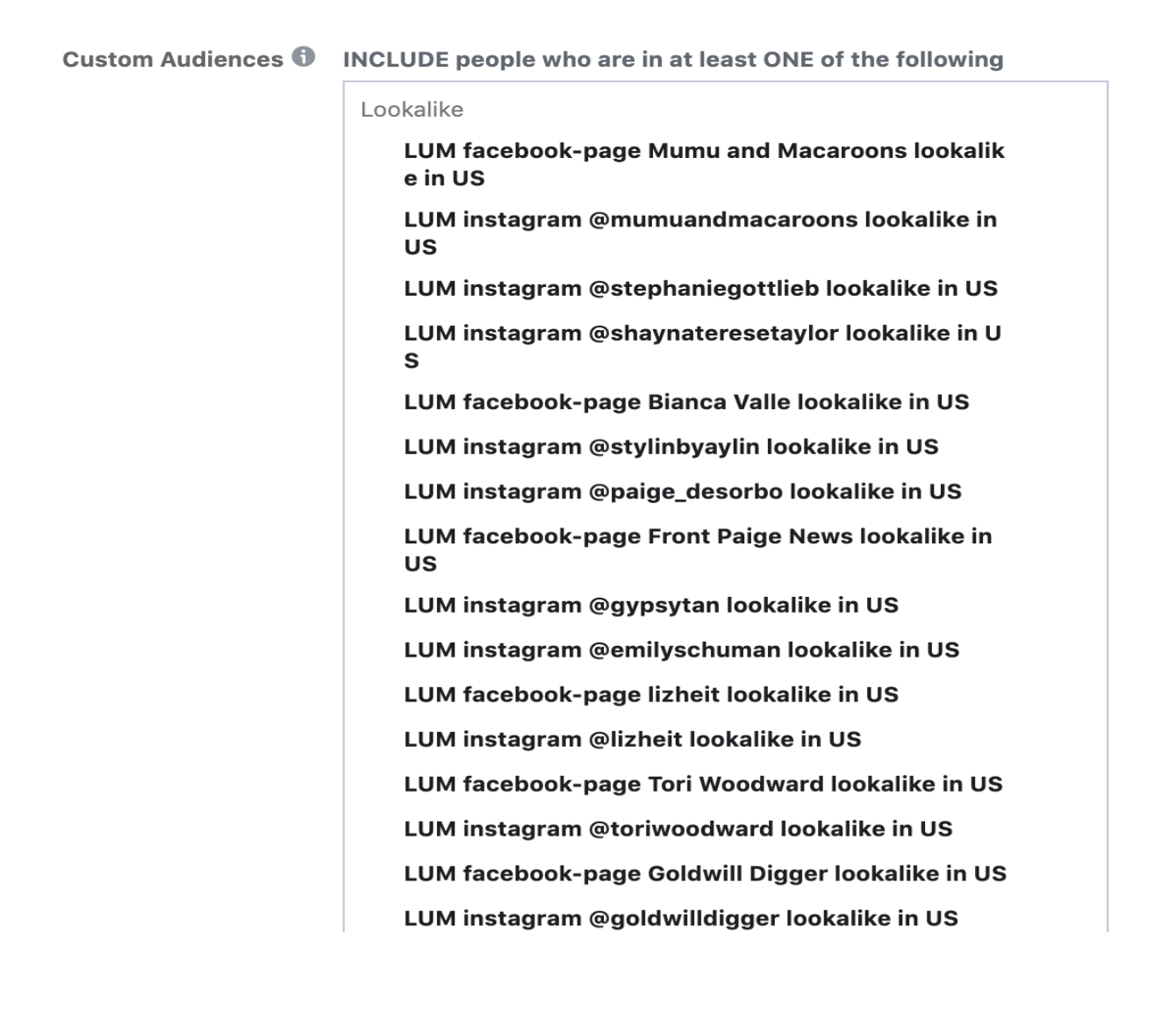 Using influencer custom audiences in Facebook Ads Manager