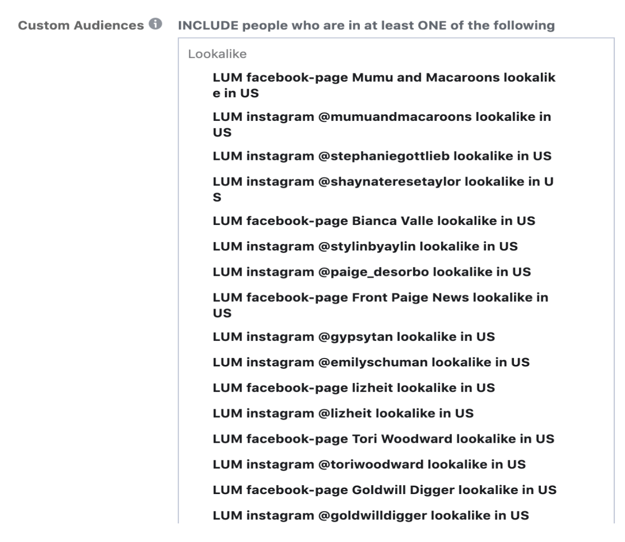 How to create custom audiences for influencer ads