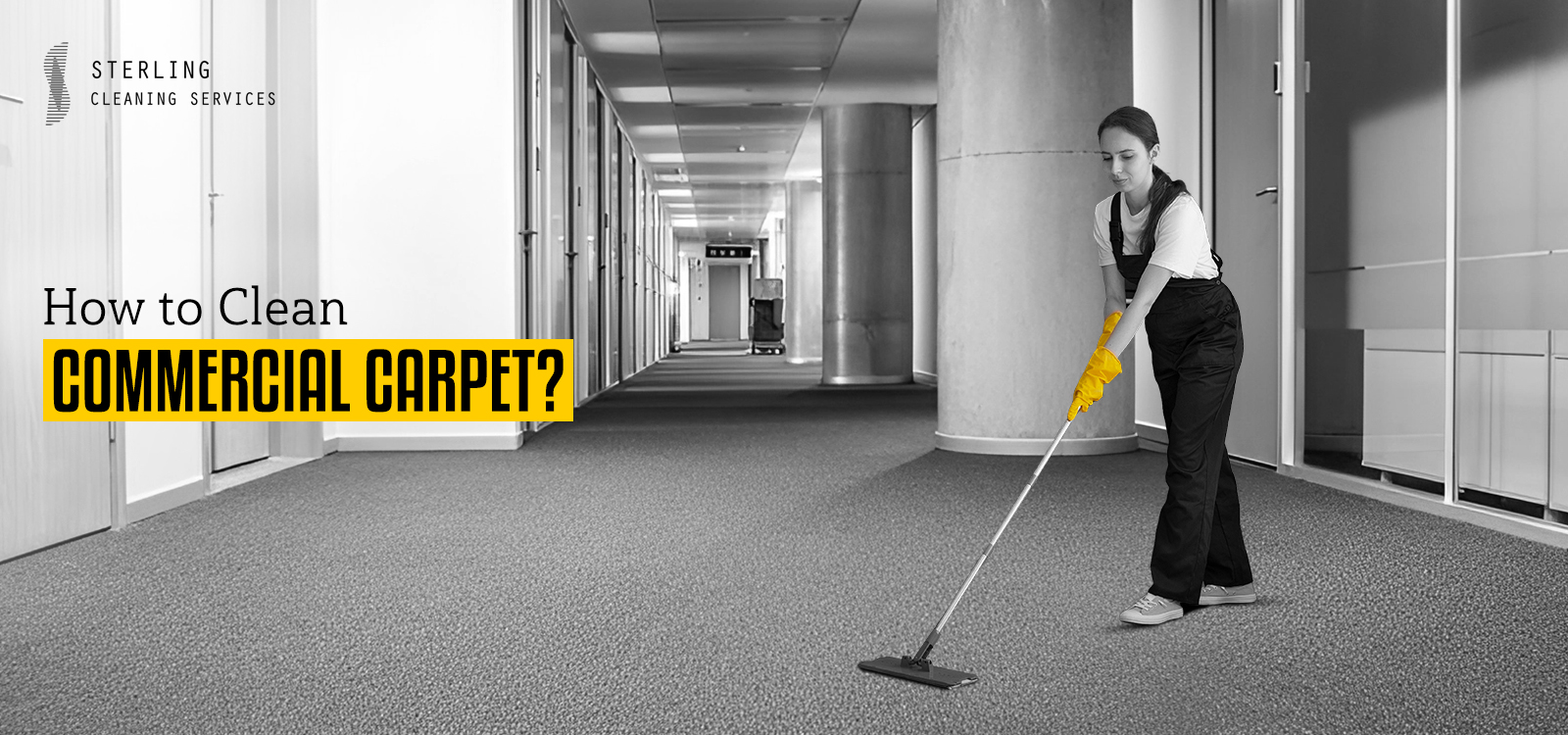 How to Clean Commercial Carpet? [A Full Guide]