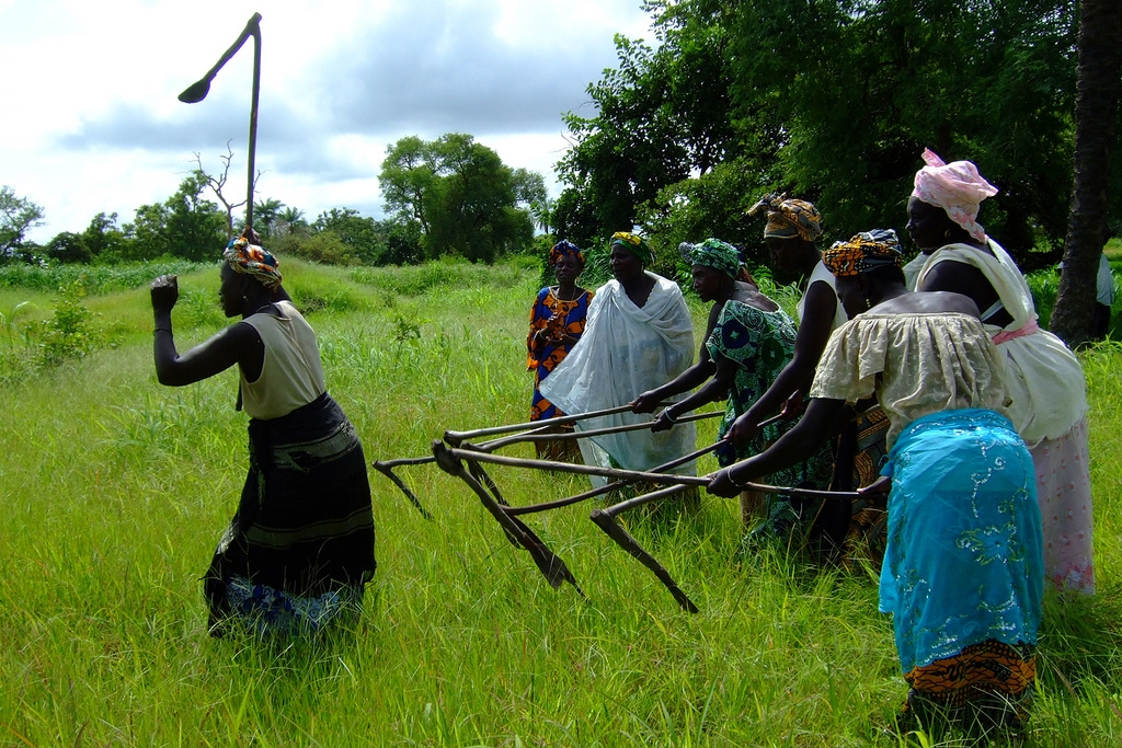 The Gambian Land Obstacle