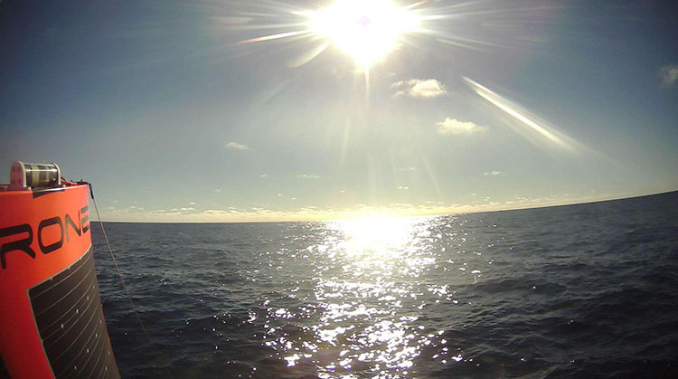 Saildrone sunrise Southern Ocean