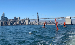 Alaska Pollock Survey