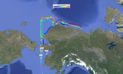 Arctic Single-Beam Mapping