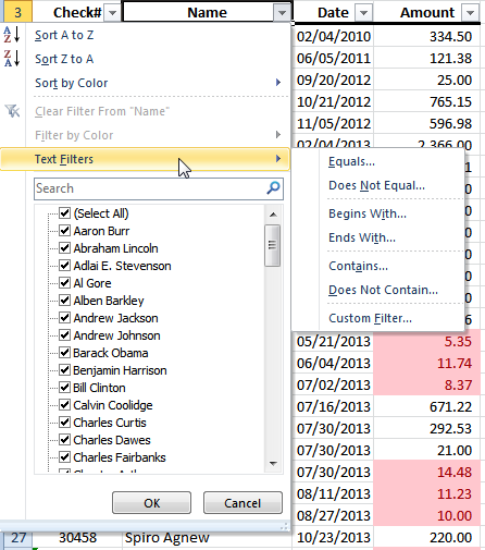 name data filter in excel