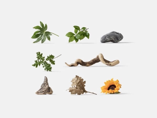 Plants