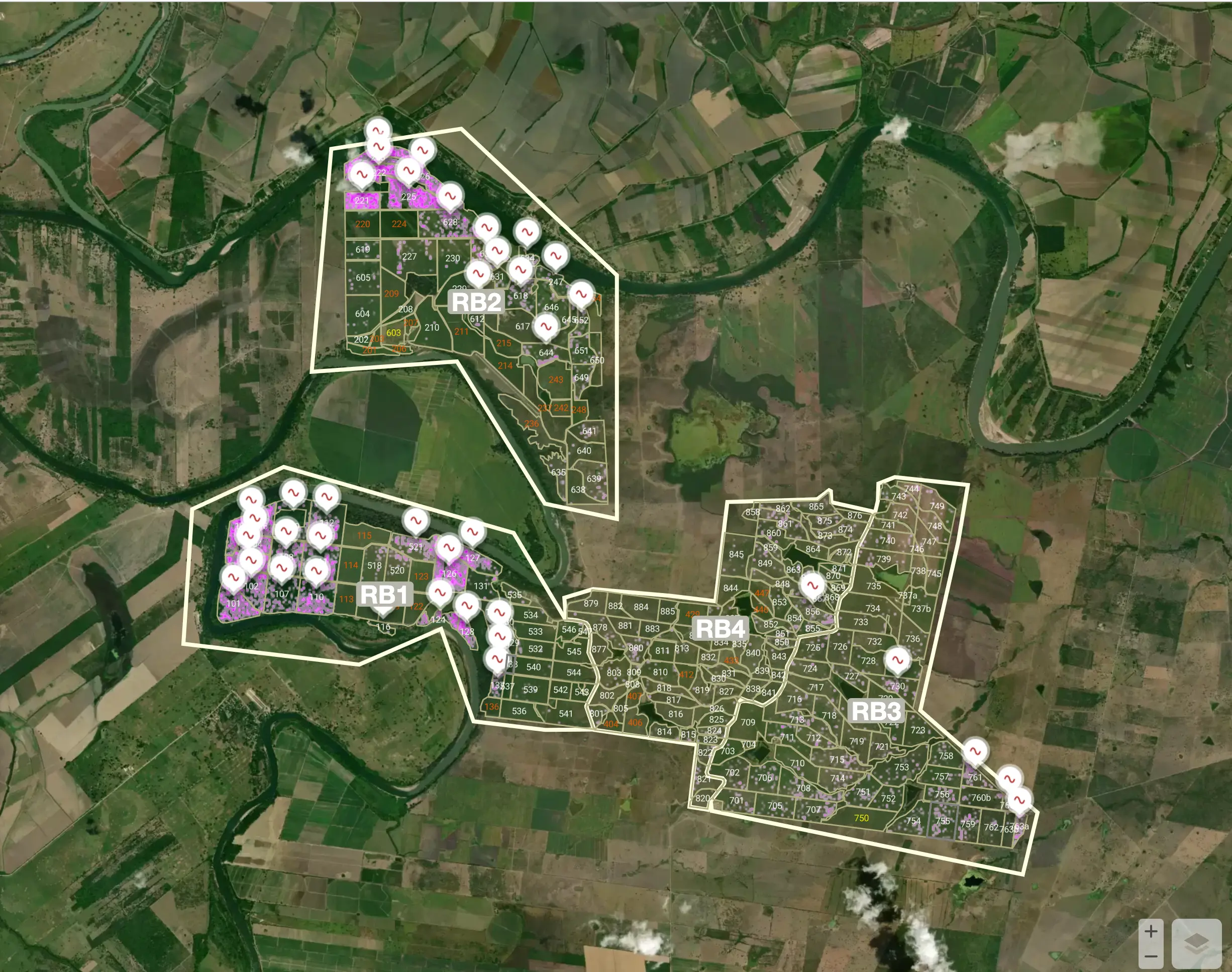 See Tree Program SeeTree | Make the most of every tree