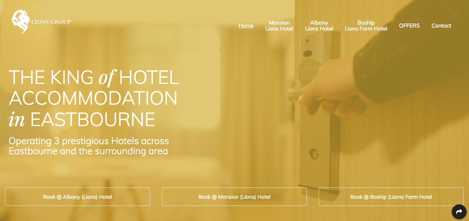 Lions Group web screenshot