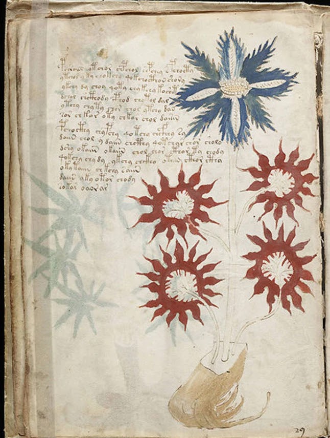 The Voynich Manuscript