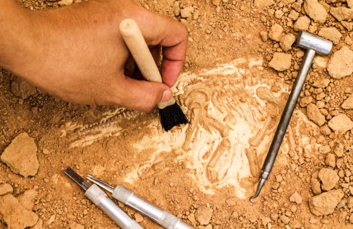 archeolgical dig