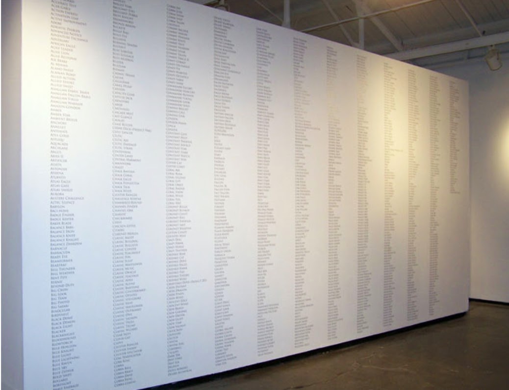 Code Names, Trevor Paglen