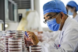 A Chinese doctor checks a bacteria sampl