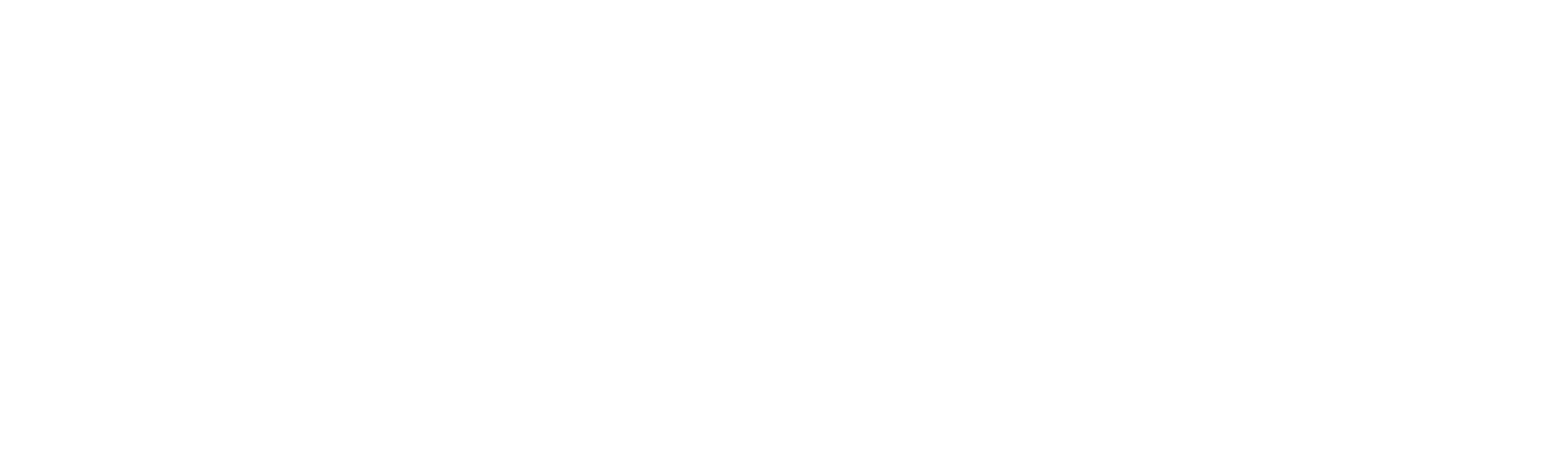 Stephens IT logo