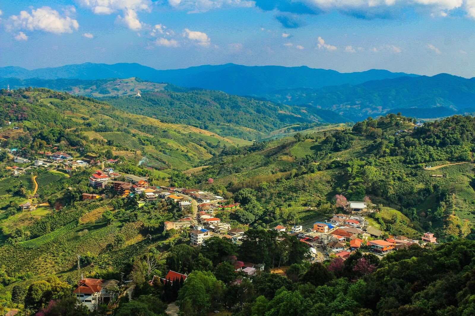 Land restoration and localised planning will be crucial for drawing down greenhouse gas emissions.
