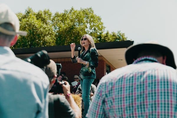 After a strong performance at the second Democratic debate, Williamson suffered from a rash of articles claiming her stances were anti-science.