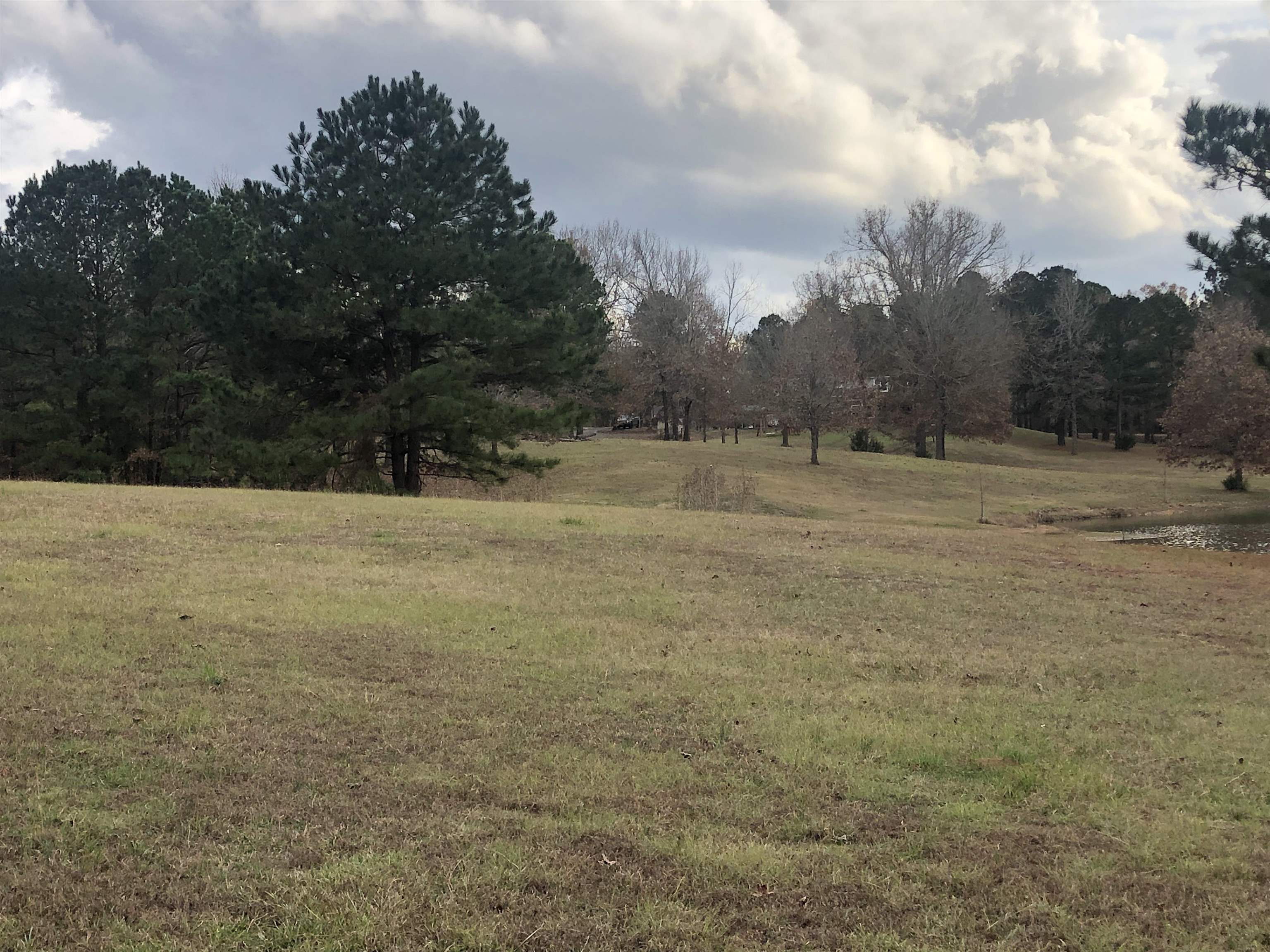 Land and Country Homes