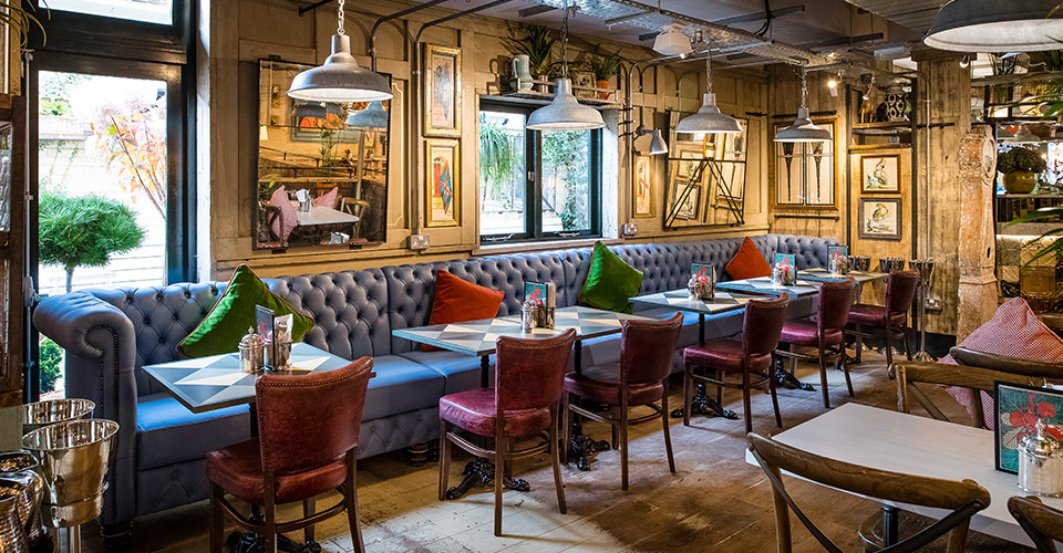 There’s Plenty All Around, It’s Time To Check Out The Most Fun