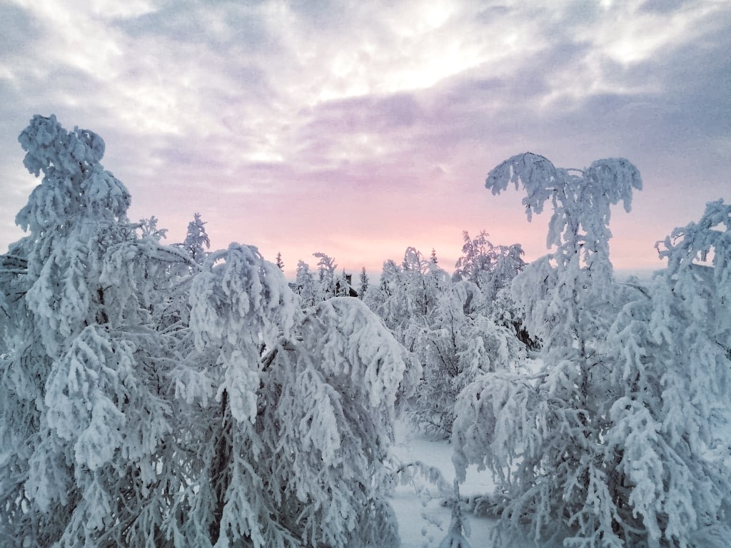 How to Get a Winter Seasonal Job in Lapland A Way Abroad